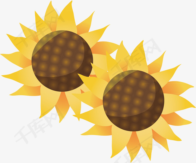 太阳花装饰设计矢量