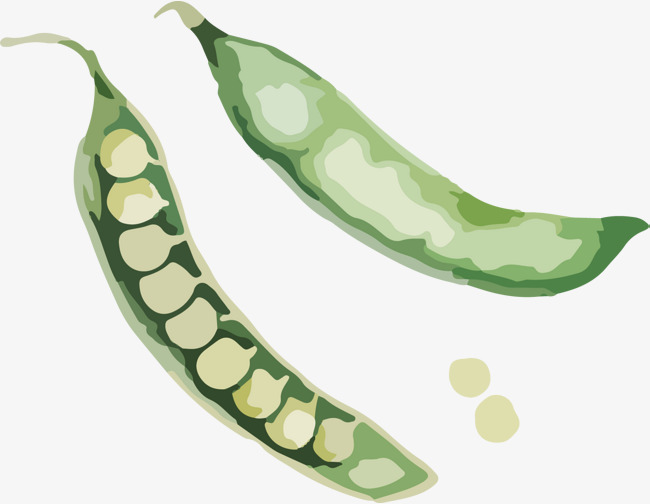 卡通水彩豌豆荚素材图片免费下载_高清psd_千