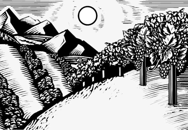 黑白木版画插画山脉与树_png素材免费下载_ 982*677