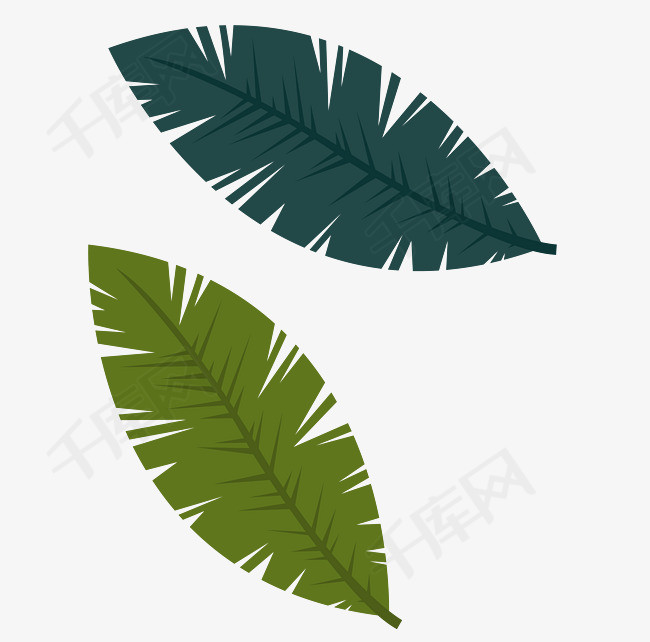 简约插画小叶子绿色可爱的叶子卡通装饰树叶图案装饰叶子简单萌叶子