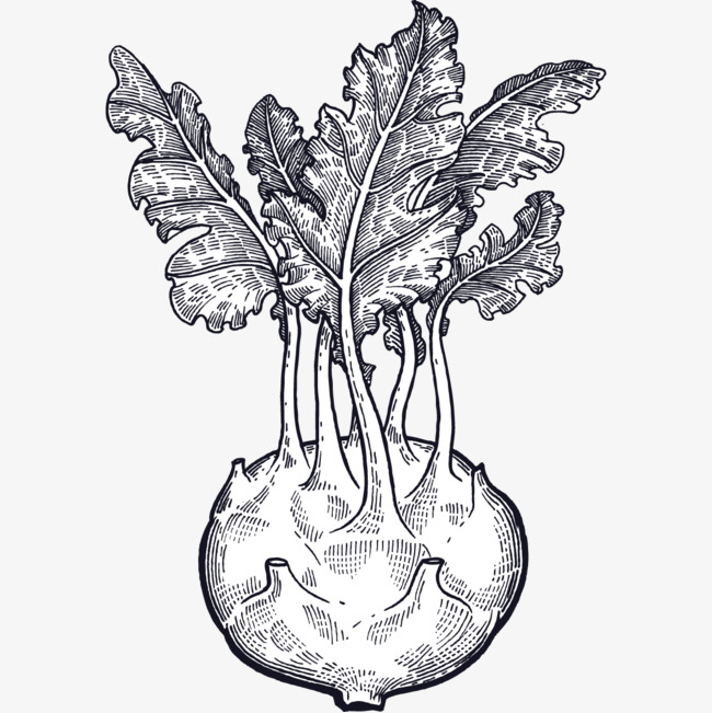 上传时间:2017-10-31 10:40 90设计提供高清png素材免费下载,本次线描