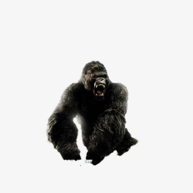 金刚猩猩素材图片免费下载_高清png_千库网(图片编号9179765)
