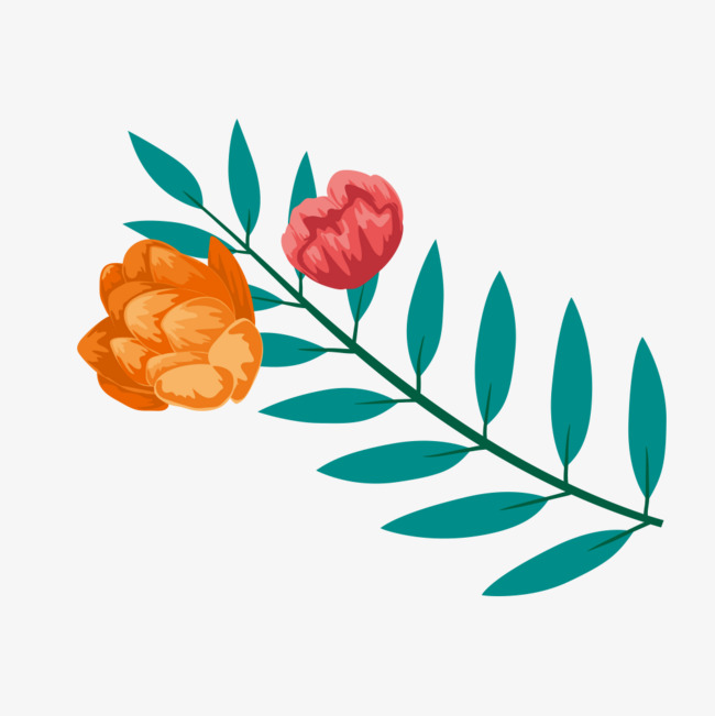 绿叶上的花朵图片