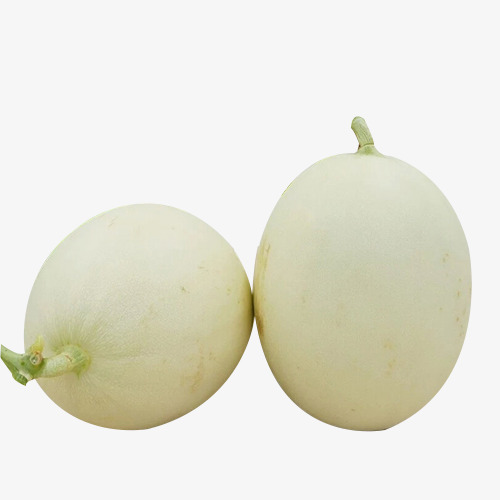 两个甜味的白香瓜素材图片免费下载_高清png