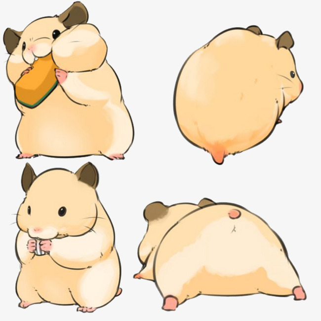 卡通松鼠素材图片免费下载_高清png_千库网(