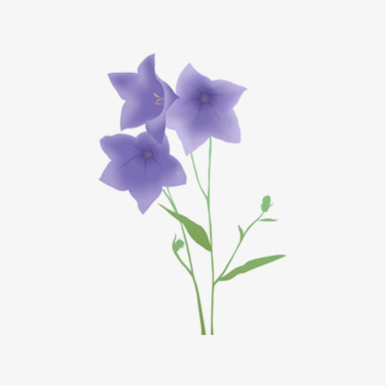 紫色的美丽的花朵_png素材免费下载_ 552*552像素(:)