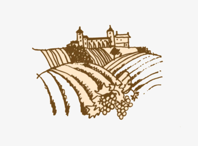 手绘葡萄庄园矢量插图素材图片免费下载_高清