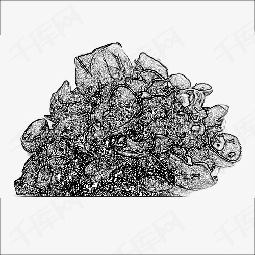一堆木耳黑白手绘一堆素描木耳黑白木耳画手绘木耳食物美味食材