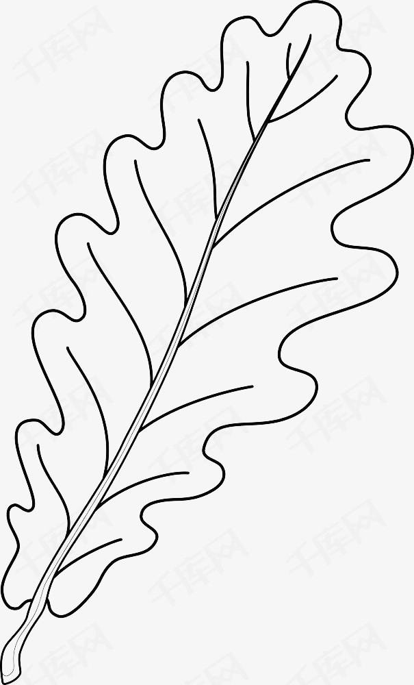 手绘黑色线条叶子线条黑色手绘树叶叶子简笔画树叶植物