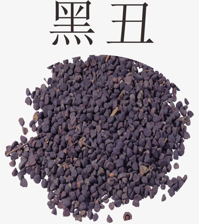 黑丑纯天然加工原料素材图片免费下载_高清psd_千库网(图片编号9465019)