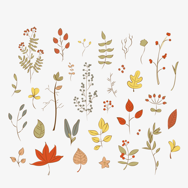 彩绘秋季叶子和花卉矢量图