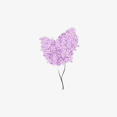 手绘一枝紫丁香插画免抠