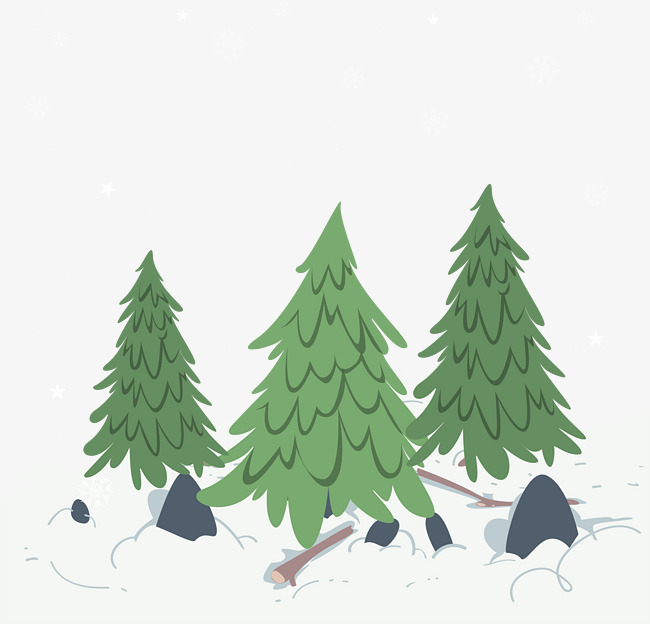 冬天雪地上的松树
