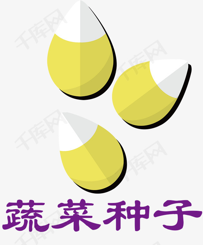 种子长成大树大米种子