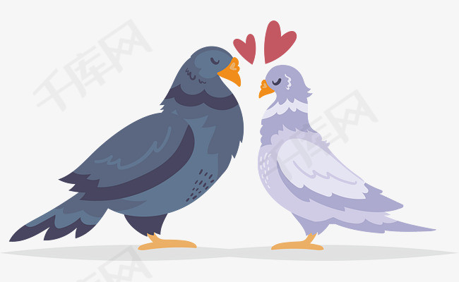 浪漫甜蜜的情侣鸽子