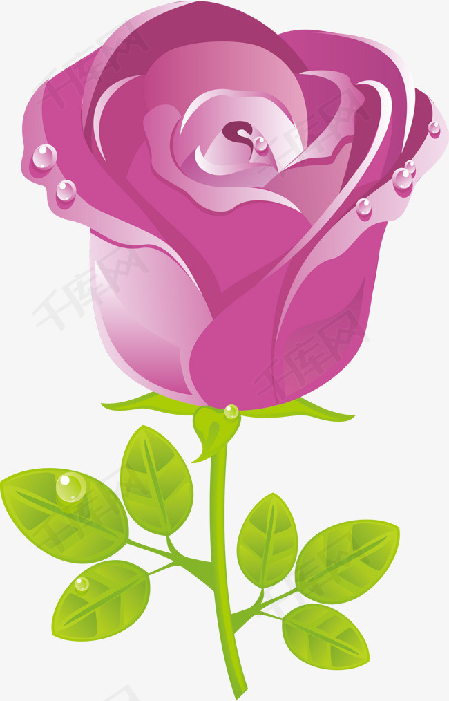 紫色卡通玫瑰花素材图紫色四季花鲜艳花朵花朵植物美丽花朵花朵