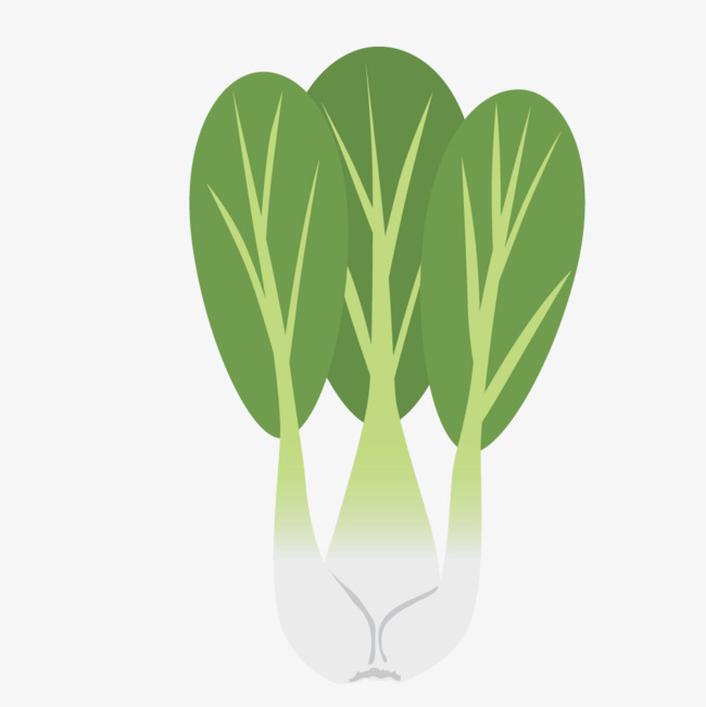 绿色卡通油菜蔬菜