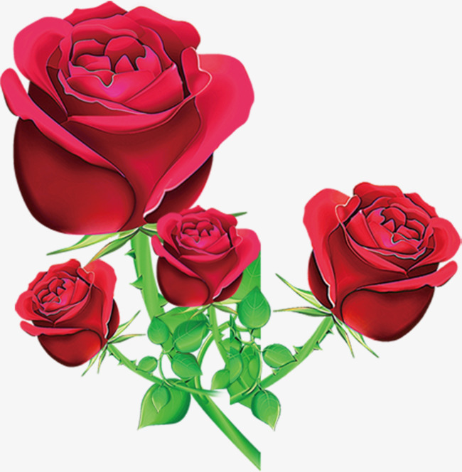 红色情人节美丽玫瑰花png素材下载_高清图片png格式
