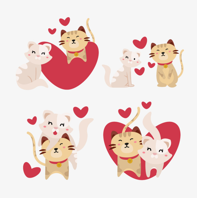 四对浪漫情侣小猫咪