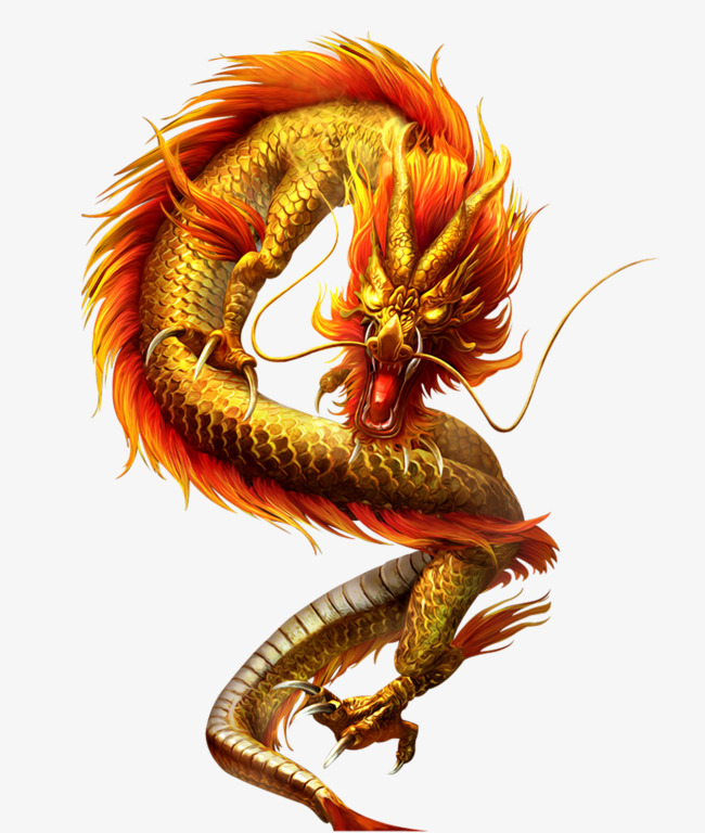 精美华丽的金龙免抠素材精美华丽龙免抠金色金龙