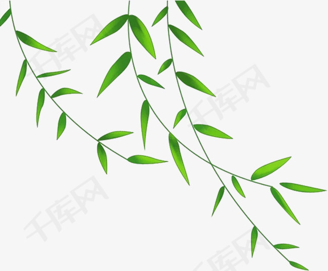 绿色春季清新柳条