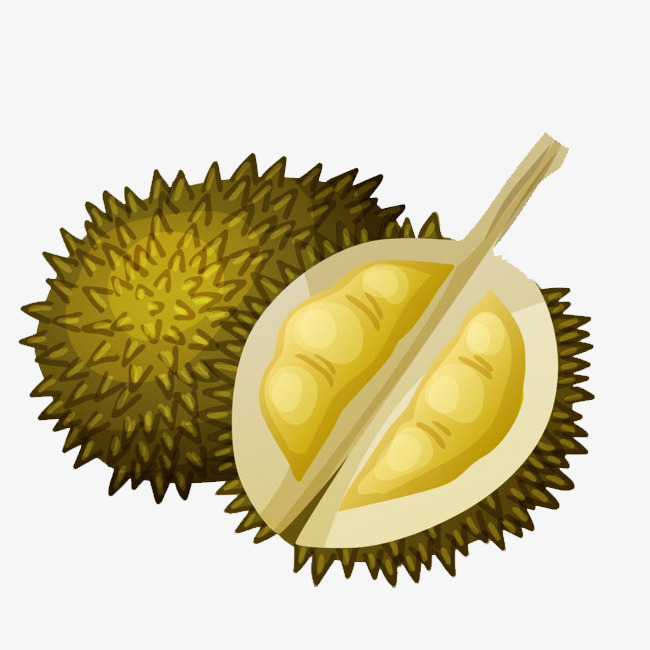手绘卡通泰国榴莲插图装饰画