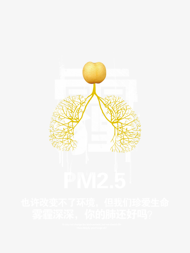 黄色金色树枝形状的肺