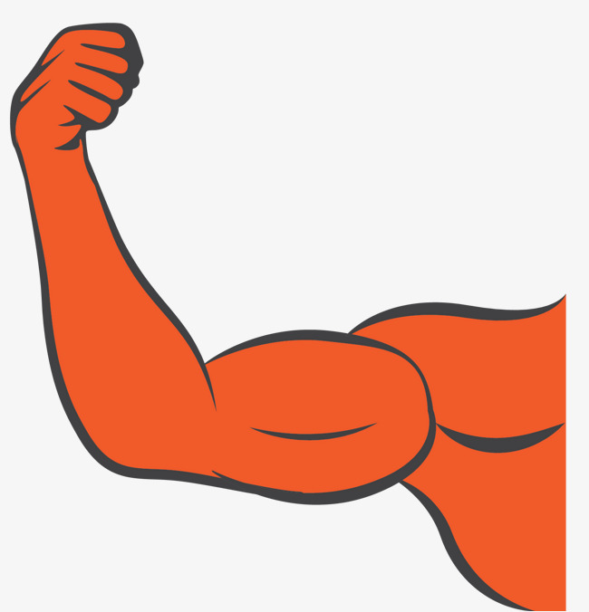 橘色卡通矢量手绘胳膊手绘胳膊力量胳膊胳膊肌肉橘色手臂手绘