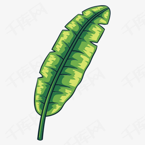 水彩绿色芭蕉叶免抠图卡通手绘水墨绿色芭蕉叶叶子绿色叶子