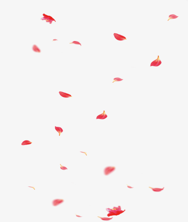 精美散落的花瓣免抠素材图片免费下载_高清psd_千库网