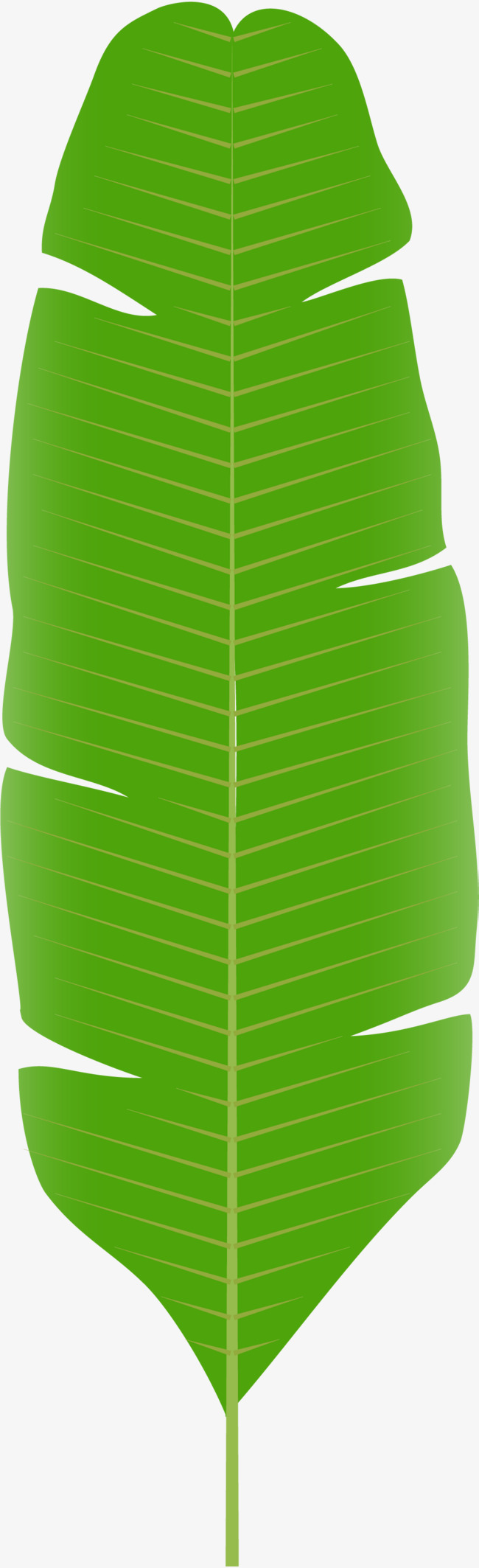 绿色矢量缺口芭蕉叶