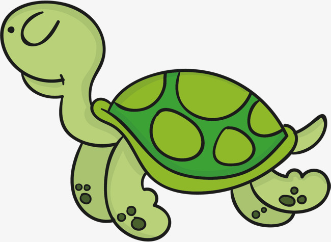 矢量手绘绿色可爱小乌龟