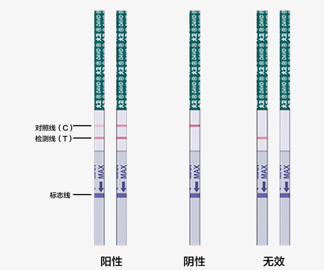 验孕试纸条检测结果判定方法验孕试纸试纸条验孕试纸测孕怀孕判定