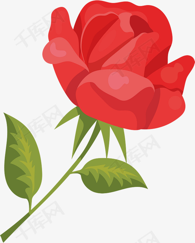 精美红色玫瑰花朵玫瑰花朵红色玫瑰花朵红色玫瑰卡通