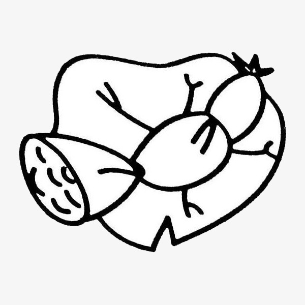 黑色简约手绘莲子