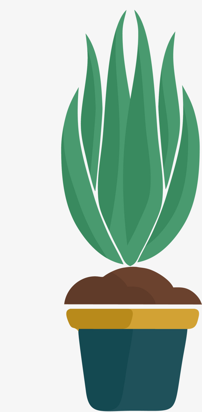 对称矢量墨绿色绿植绿色植物植物卡通植物矢量对称墨绿色