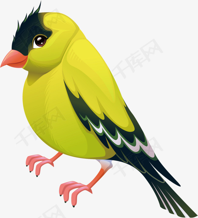 漂亮小鸟png下载