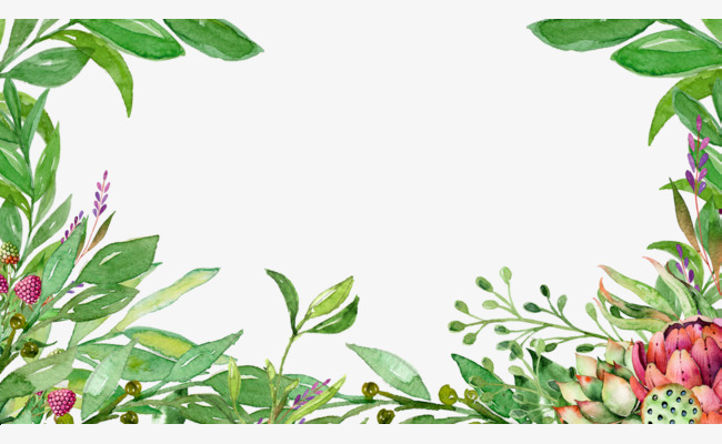 手绘花卉绿叶                                            植物边框