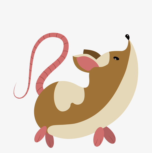 创意长尾巴设计的老鼠创意精致动物生物老鼠鼠