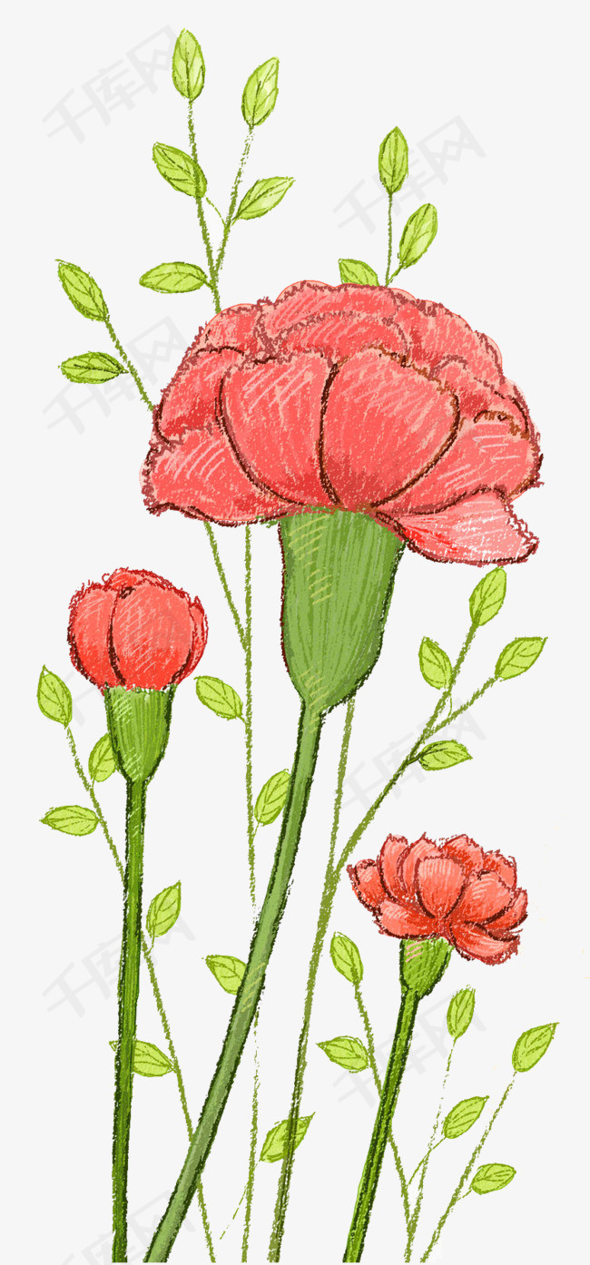 手绘简笔装饰插画母亲节康乃馨花朵