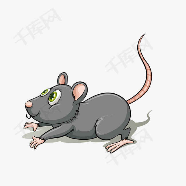 动物老鼠生物鼠                                            卡通