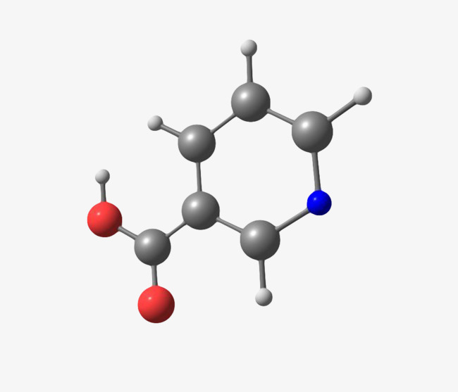 黑色烟酸(b3)分子形状素材