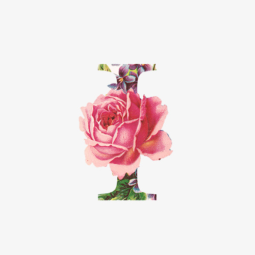 玫瑰花英文字母i设计