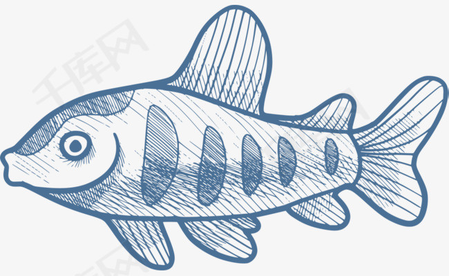 海洋生物手绘嘟嘴的鱼
