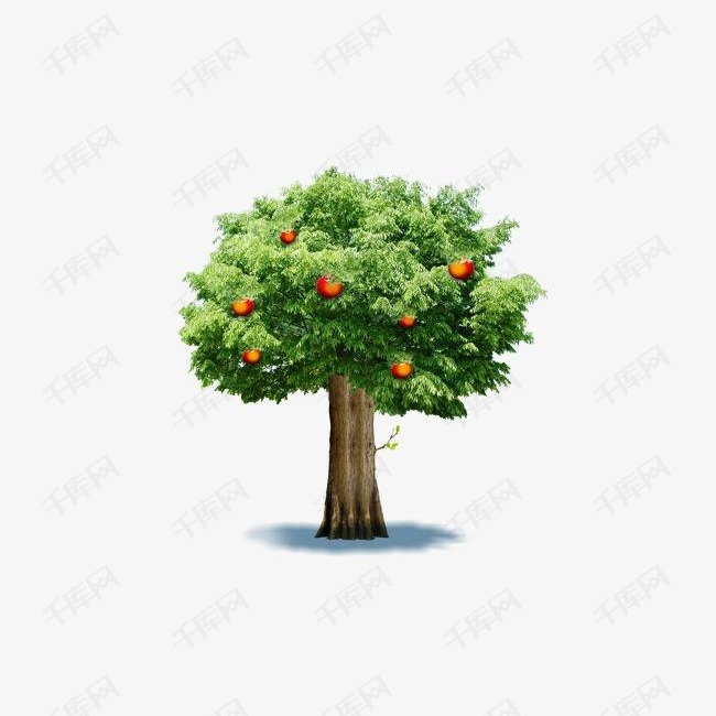 苹果树图片全图 0601c260f83c99d3e7836f415154b0ae.jpg