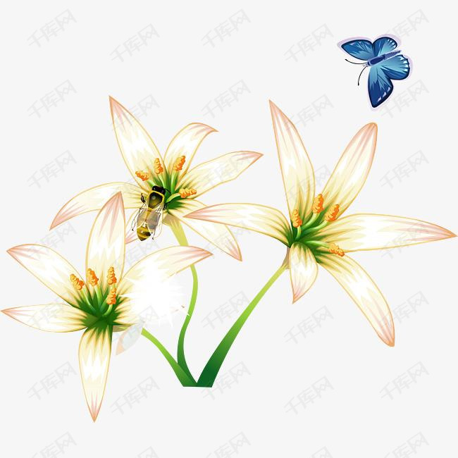 手绘兰花和蝴蝶免费下载                    花束  黄色  小清新  花