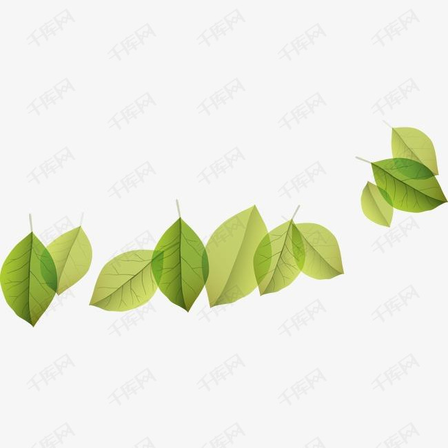 树叶背景素材图片免费下载_高清装饰图案psd_千库网