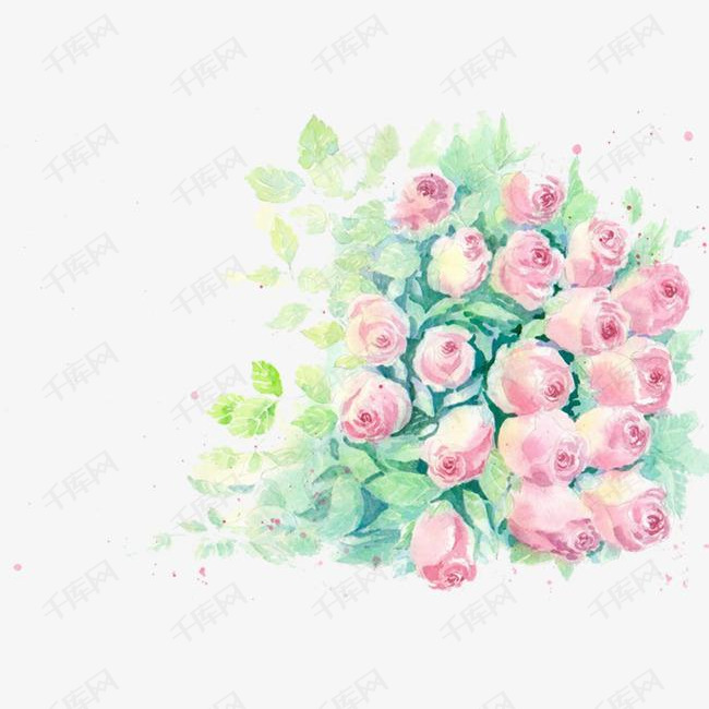 玫瑰花丛