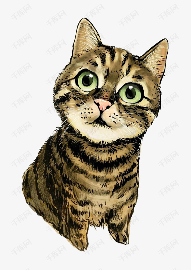 手绘猫咪
