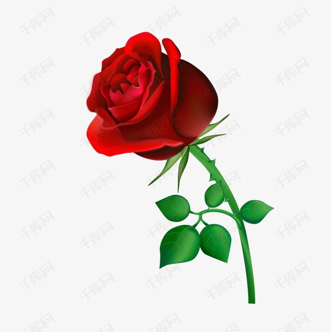 玫瑰花矢量的素材免抠